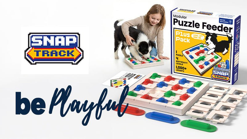 Playtime & Enrichment - Poochie-Pets