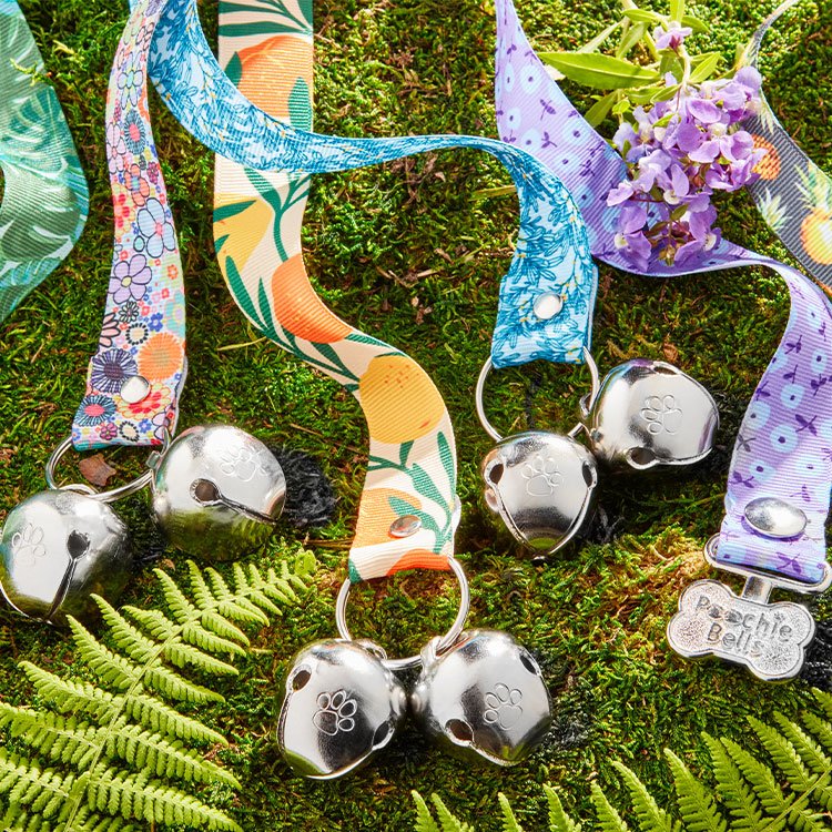 Garden Party - Poochie-Pets