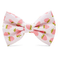 Poochie Bow Tie - Berry Season - Poochie - Pets