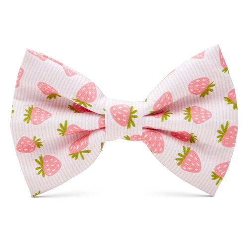Poochie Bow Tie - Berry Season - Poochie - Pets
