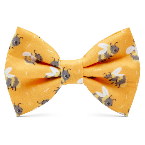 Poochie Bow Tie - Buzz - Poochie - Pets