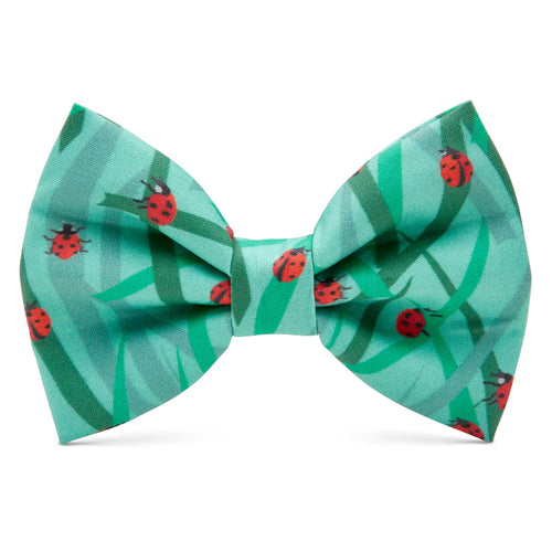 Poochie Bow Tie - Lucky - Poochie - Pets