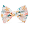 Poochie Bow Tie - Starfish - Poochie - Pets