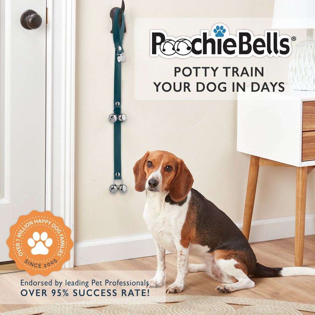 PoochieBells Classic Dog Doorbell Home Training | Lux Leather - Poochie-Pets