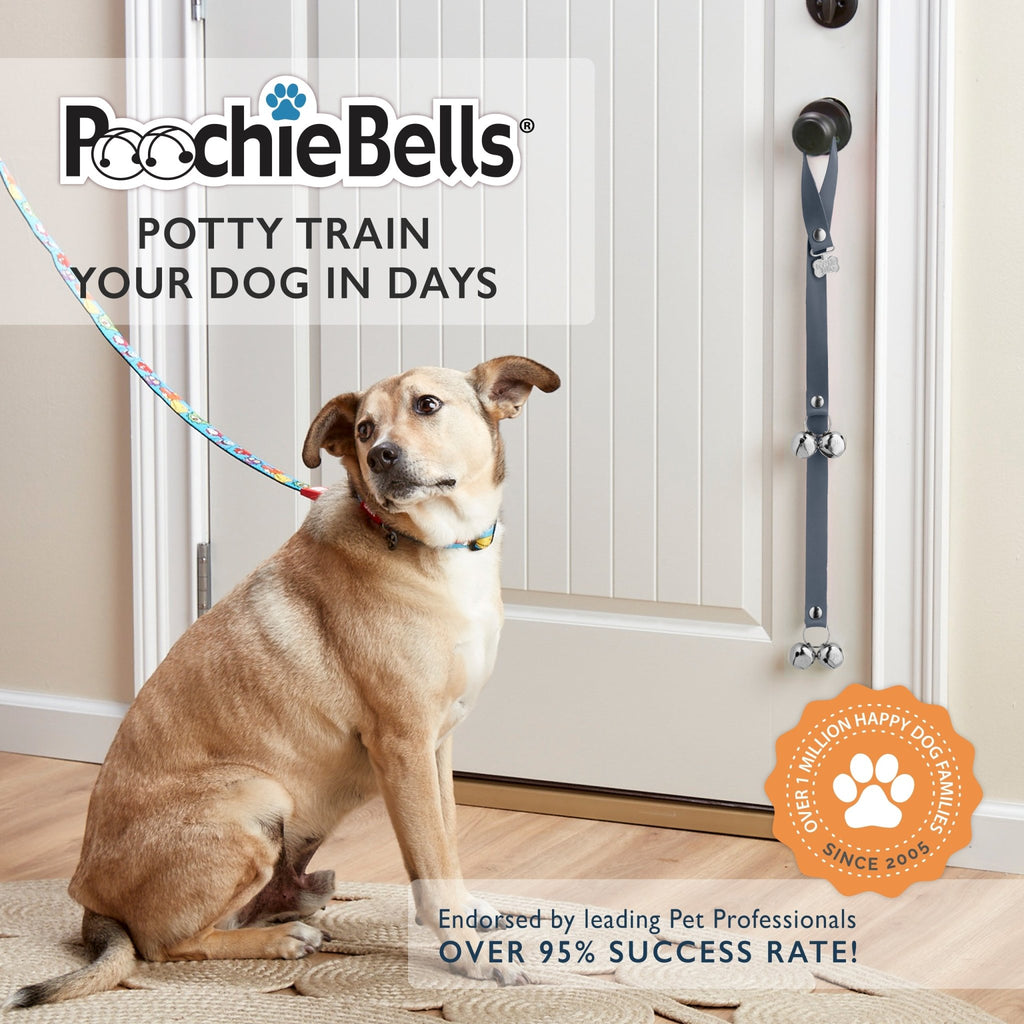 PoochieBells Classic Dog Doorbell Home Training | Lux Leather - Poochie-Pets