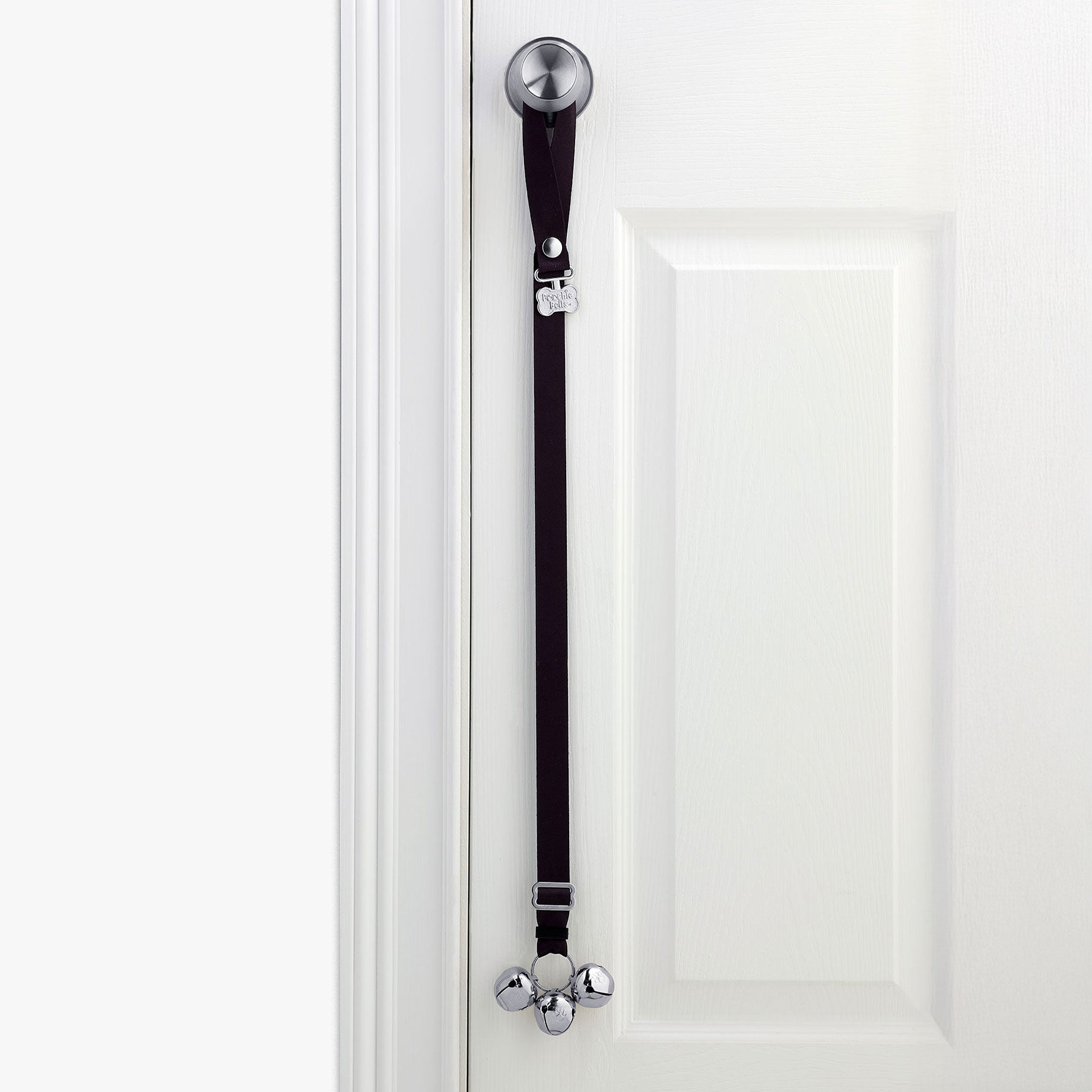 PoochieBells Midnight Black