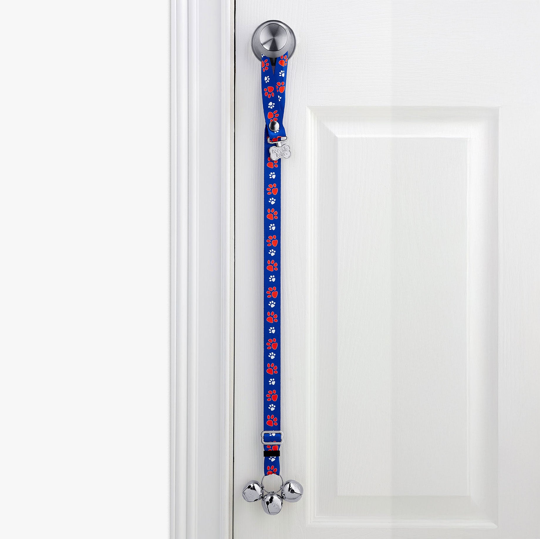 PoochieBells Team Tracks Blue & Orange