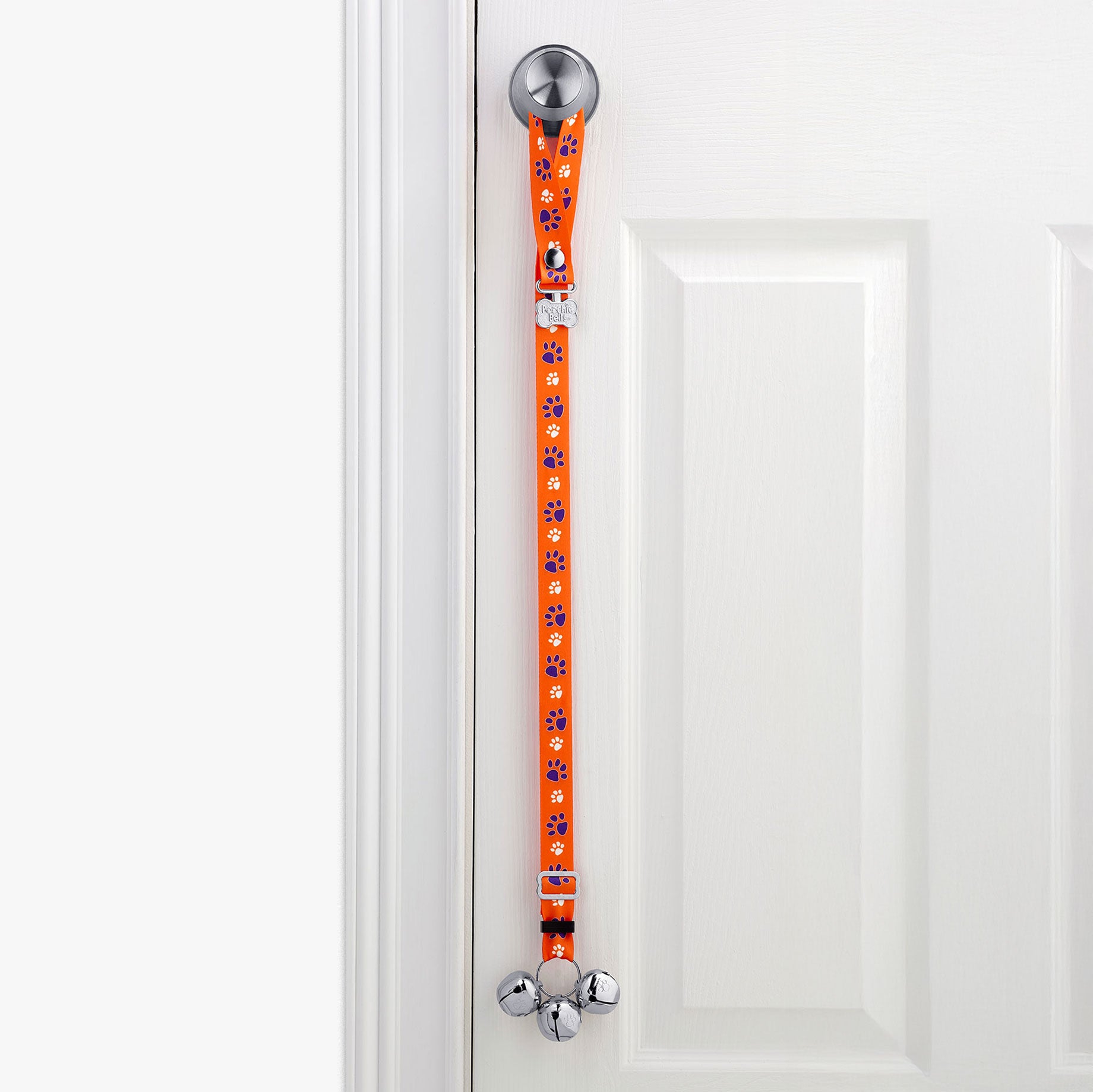 PoochieBells Team Tracks Orange & Purple