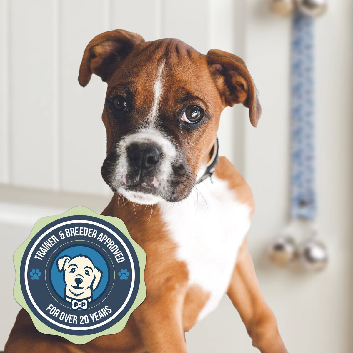 Pooch Method Common Questions – Poochie-Pets